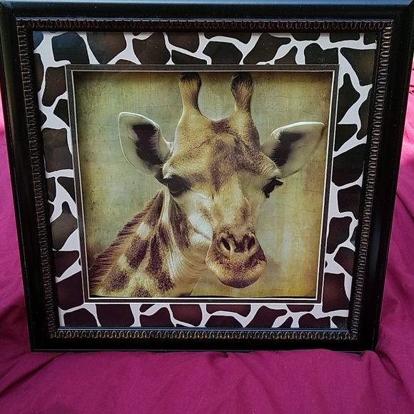 Gariffe bundle - Picture 1 of 4